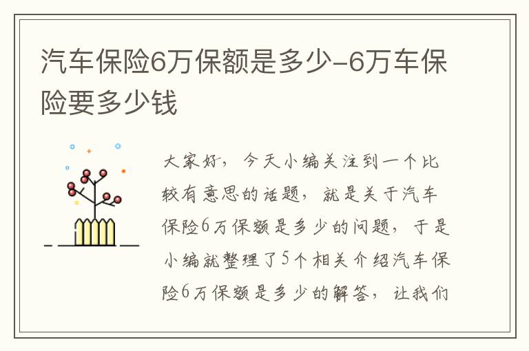 汽车保险6万保额是多少-6万车保险要多少钱