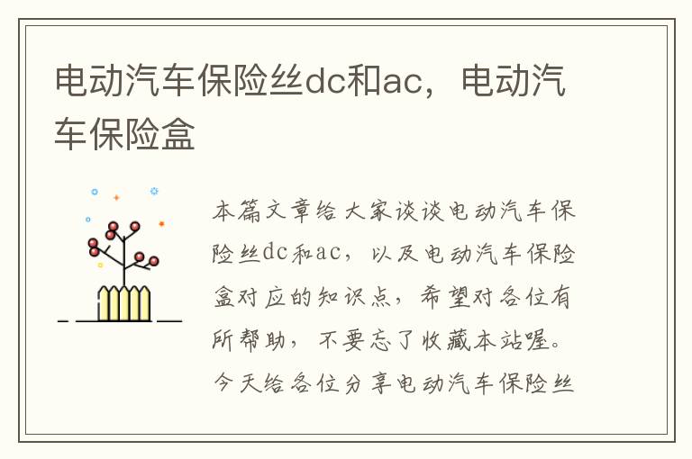 电动汽车保险丝dc和ac，电动汽车保险盒