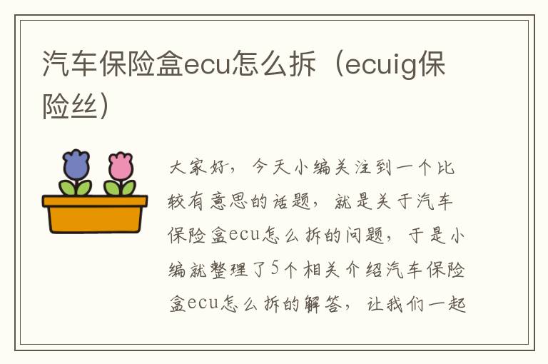 汽车保险盒ecu怎么拆（ecuig保险丝）