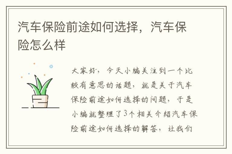 汽车保险前途如何选择，汽车保险怎么样