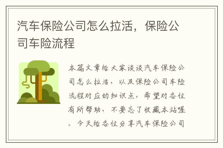 汽车保险公司怎么拉活，保险公司车险流程