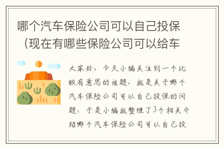 哪个汽车保险公司可以自己投保（现在有哪些保险公司可以给车上保险）