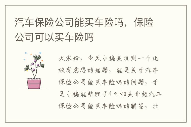 汽车保险公司能买车险吗，保险公司可以买车险吗