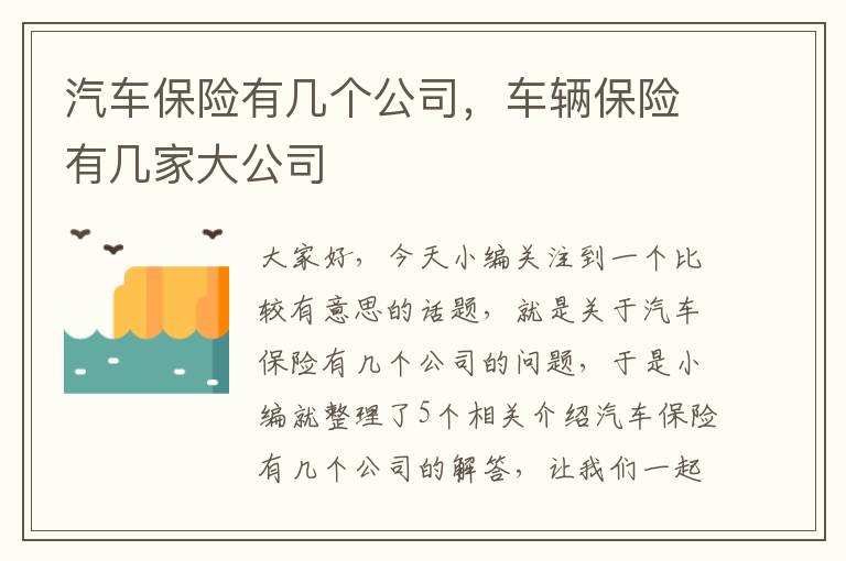 汽车保险有几个公司，车辆保险有几家大公司