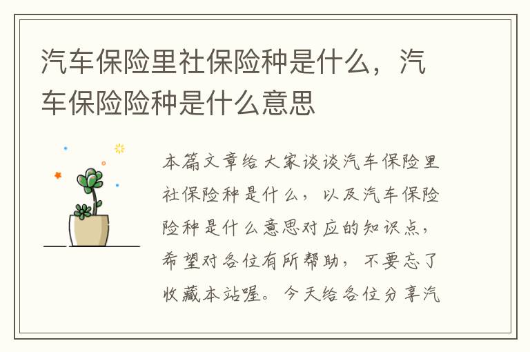 汽车保险里社保险种是什么，汽车保险险种是什么意思