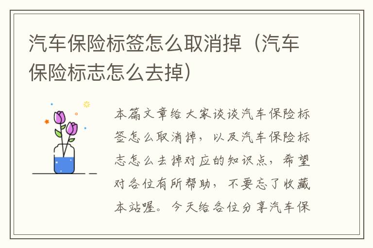 汽车保险标签怎么取消掉（汽车保险标志怎么去掉）