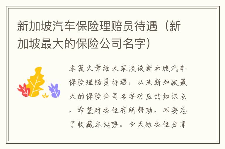 新加坡汽车保险理赔员待遇（新加坡最大的保险公司名字）