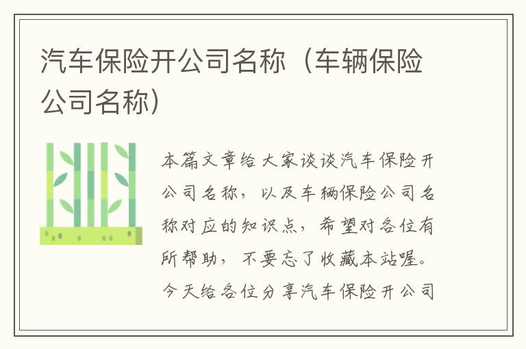 汽车保险开公司名称（车辆保险公司名称）