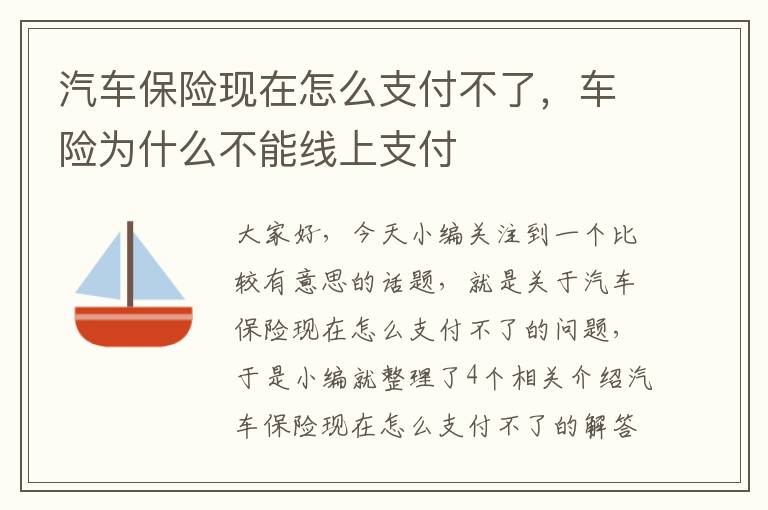 汽车保险现在怎么支付不了，车险为什么不能线上支付