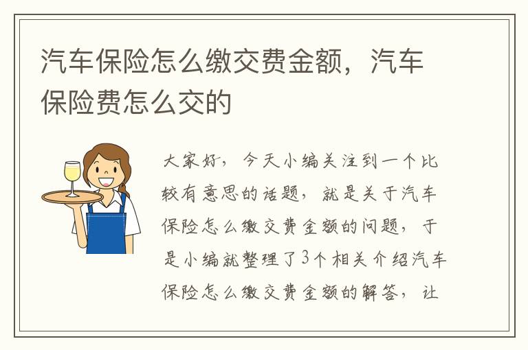 汽车保险怎么缴交费金额，汽车保险费怎么交的