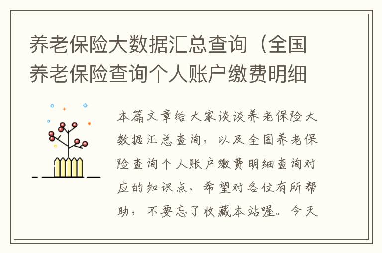 养老保险大数据汇总查询（全国养老保险查询个人账户缴费明细查询）