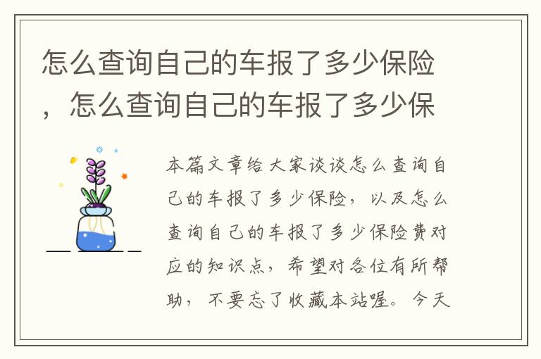 怎么查询自己的车报了多少保险，怎么查询自己的车报了多少保险费