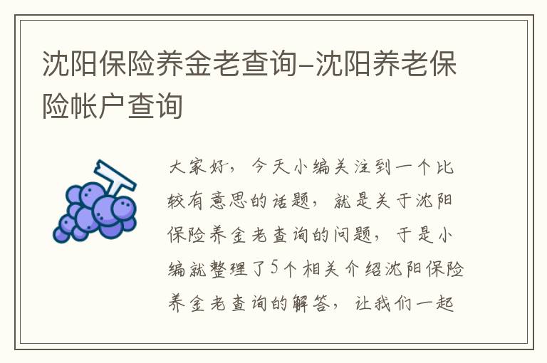 沈阳保险养金老查询-沈阳养老保险帐户查询