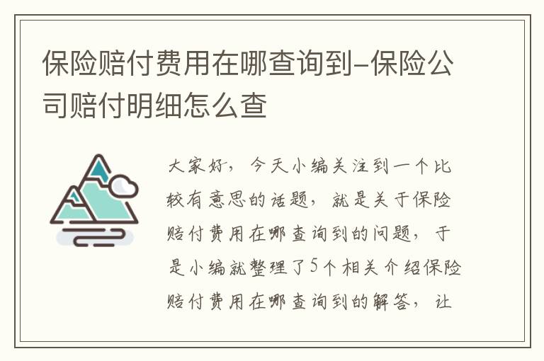 保险赔付费用在哪查询到-保险公司赔付明细怎么查