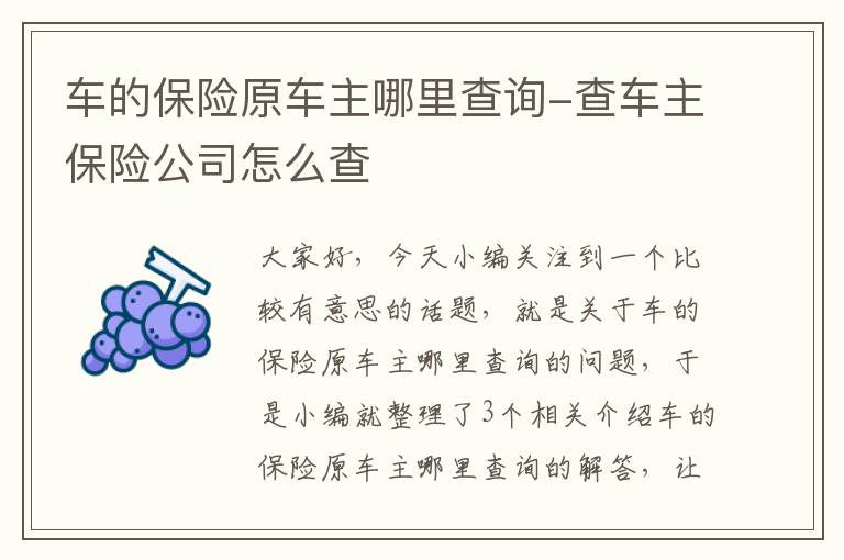 车的保险原车主哪里查询-查车主保险公司怎么查