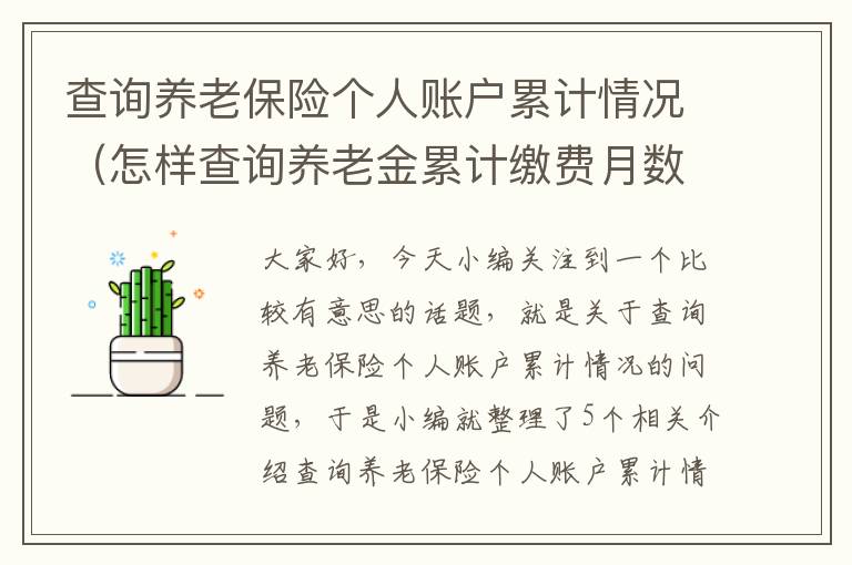 查询养老保险个人账户累计情况（怎样查询养老金累计缴费月数）