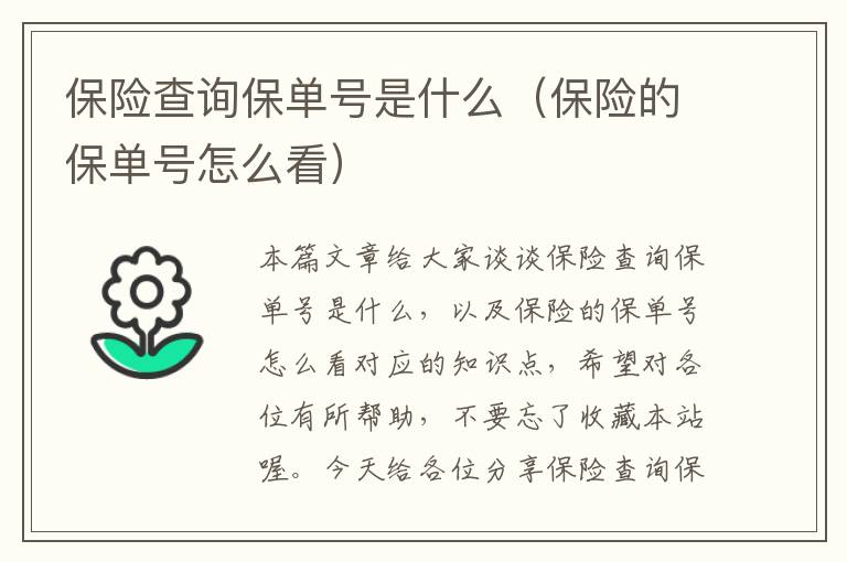 保险查询保单号是什么（保险的保单号怎么看）