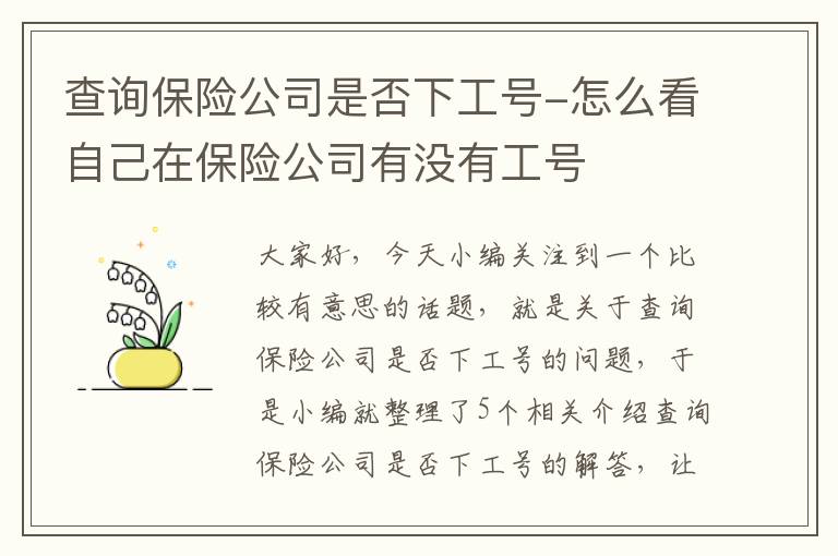 查询保险公司是否下工号-怎么看自己在保险公司有没有工号