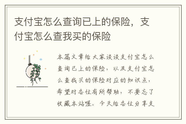 支付宝怎么查询已上的保险，支付宝怎么查我买的保险