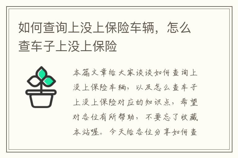 如何查询上没上保险车辆，怎么查车子上没上保险