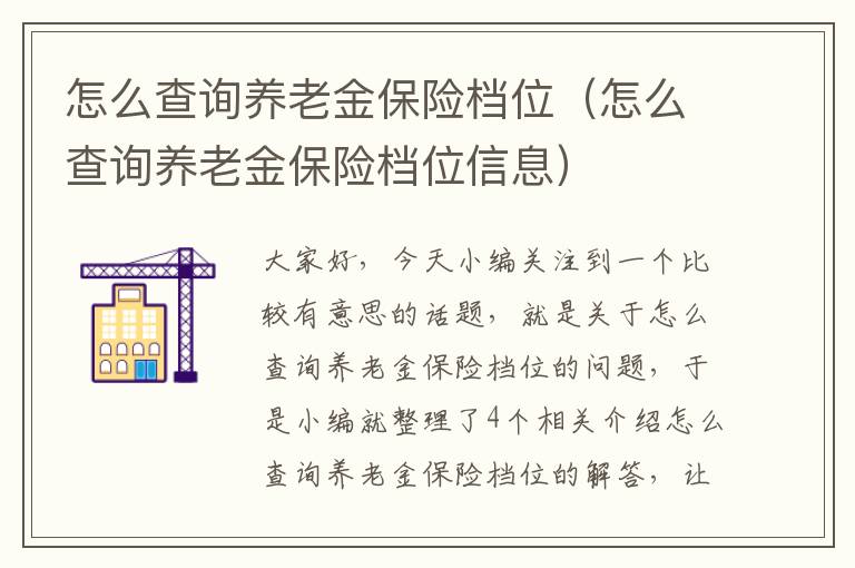 怎么查询养老金保险档位（怎么查询养老金保险档位信息）