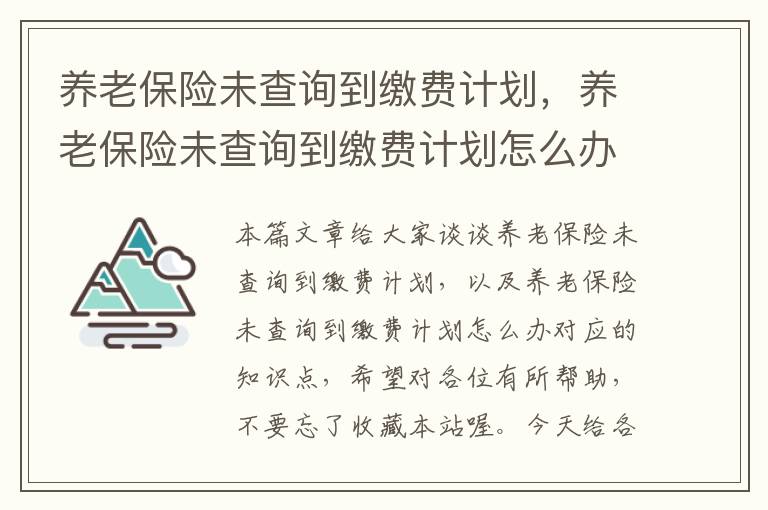 养老保险未查询到缴费计划，养老保险未查询到缴费计划怎么办