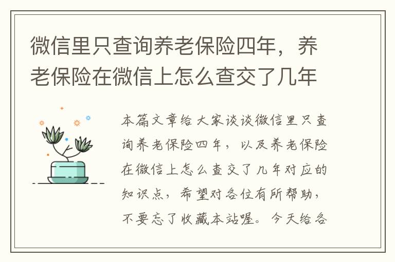 微信里只查询养老保险四年，养老保险在微信上怎么查交了几年