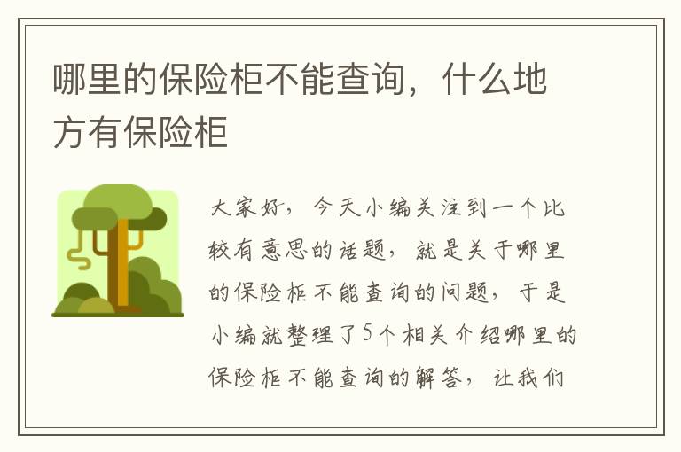 哪里的保险柜不能查询，什么地方有保险柜