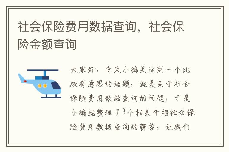 社会保险费用数据查询，社会保险金额查询