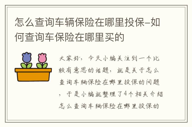 怎么查询车辆保险在哪里投保-如何查询车保险在哪里买的