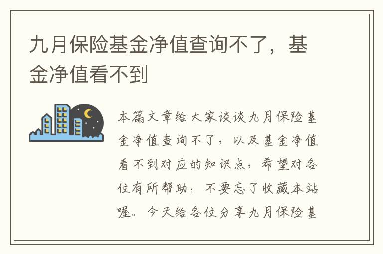 九月保险基金净值查询不了，基金净值看不到