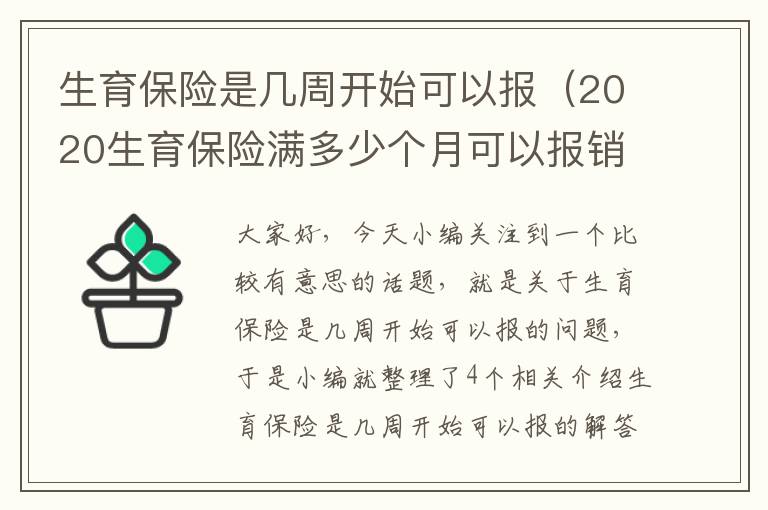 生育保险是几周开始可以报（2020生育保险满多少个月可以报销）