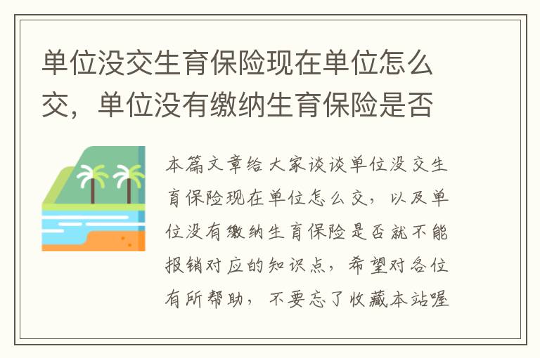 单位没交生育保险现在单位怎么交，单位没有缴纳生育保险是否就不能报销