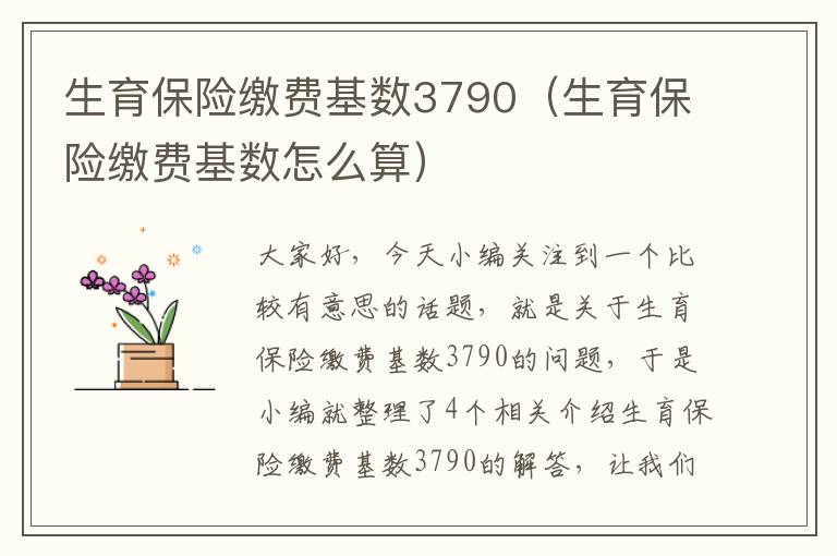 生育保险缴费基数3790（生育保险缴费基数怎么算）