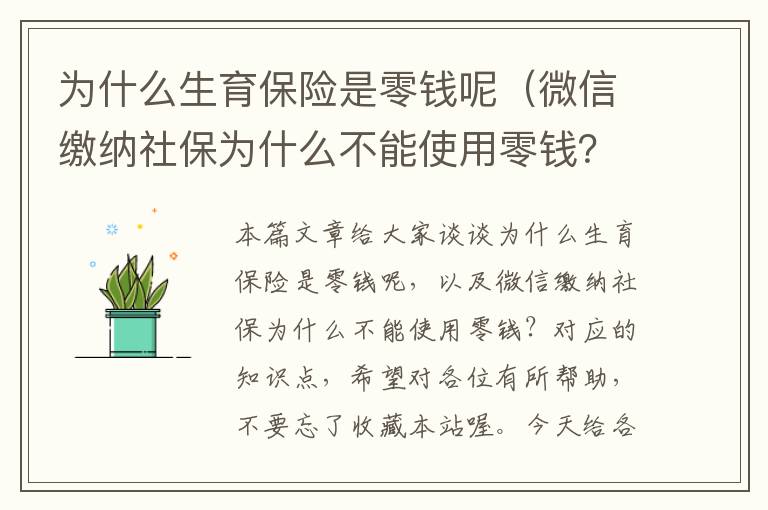 为什么生育保险是零钱呢（微信缴纳社保为什么不能使用零钱？）