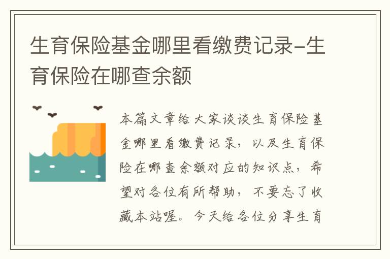 生育保险基金哪里看缴费记录-生育保险在哪查余额