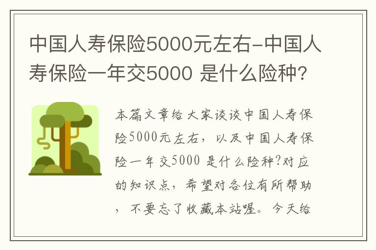 中国人寿保险5000元左右-中国人寿保险一年交5000 是什么险种?