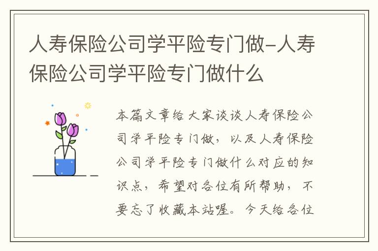 人寿保险公司学平险专门做-人寿保险公司学平险专门做什么