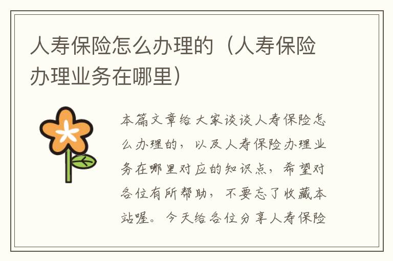 人寿保险怎么办理的（人寿保险办理业务在哪里）