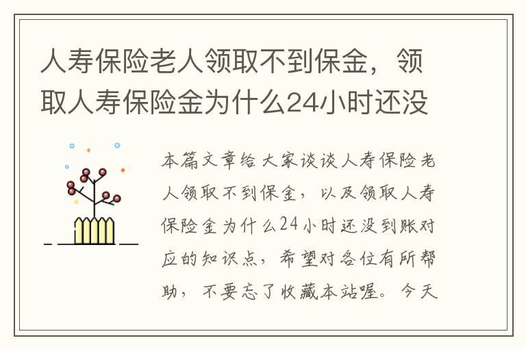 人寿保险老人领取不到保金，领取人寿保险金为什么24小时还没到账