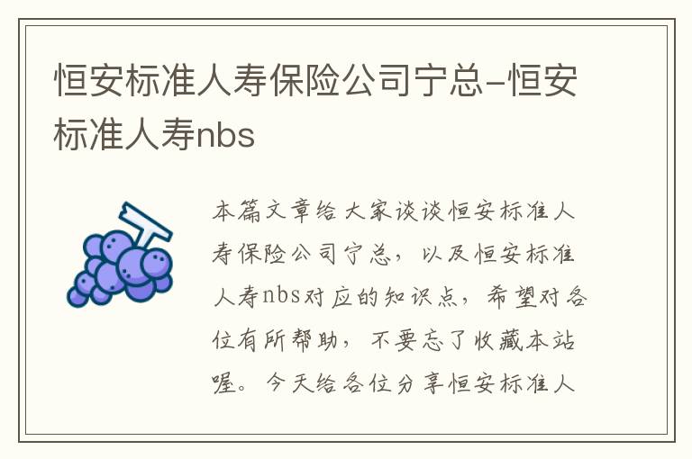 恒安标准人寿保险公司宁总-恒安标准人寿nbs