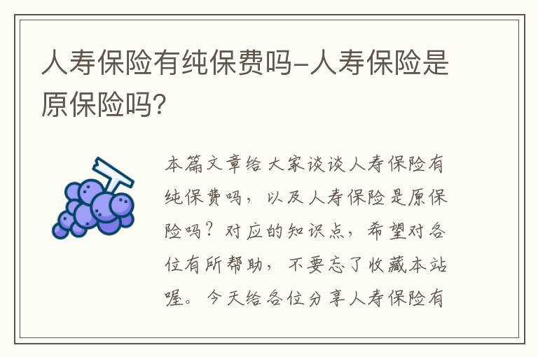 人寿保险有纯保费吗-人寿保险是原保险吗？