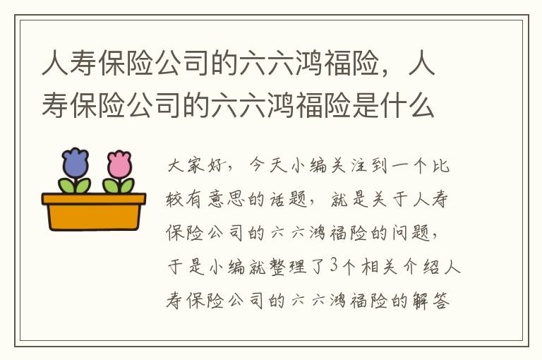 人寿保险公司的六六鸿福险，人寿保险公司的六六鸿福险是什么