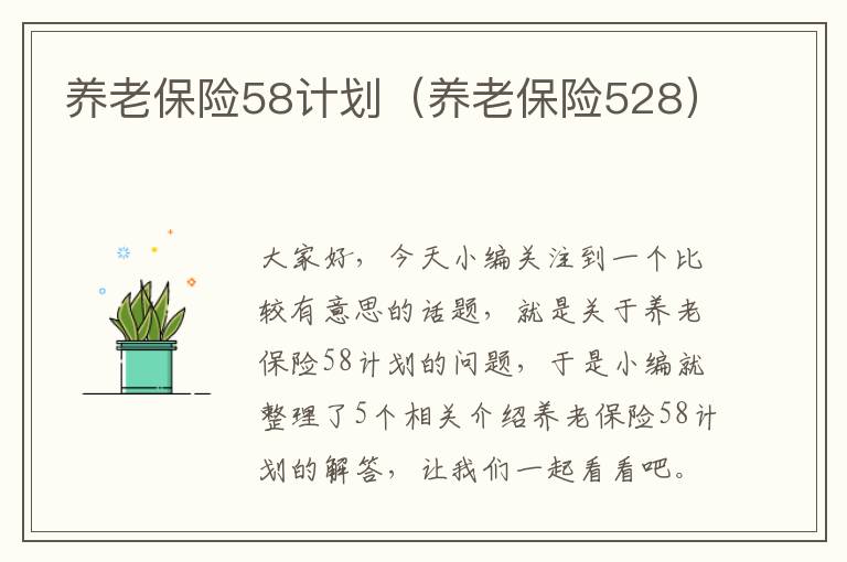 养老保险58计划（养老保险528）