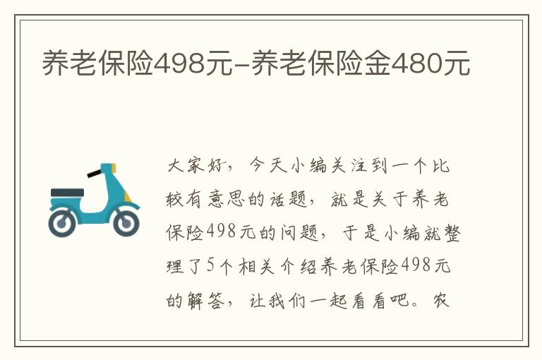 养老保险498元-养老保险金480元