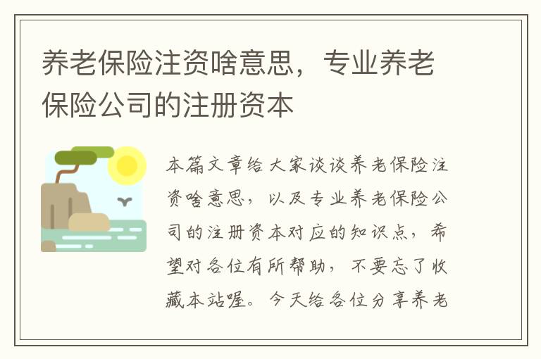 养老保险注资啥意思，专业养老保险公司的注册资本