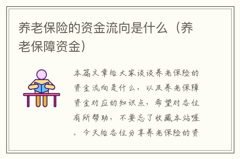 养老保险的资金流向是什么（养老保障资金）