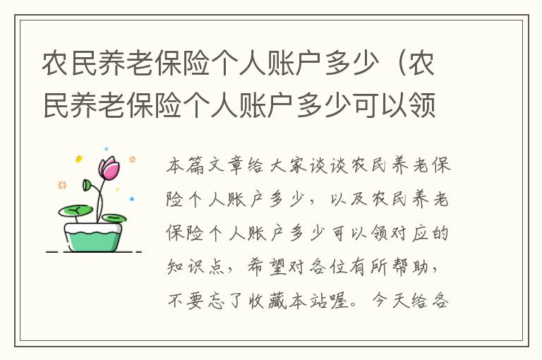 农民养老保险个人账户多少（农民养老保险个人账户多少可以领）