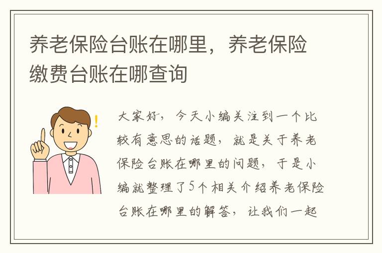 养老保险台账在哪里，养老保险缴费台账在哪查询