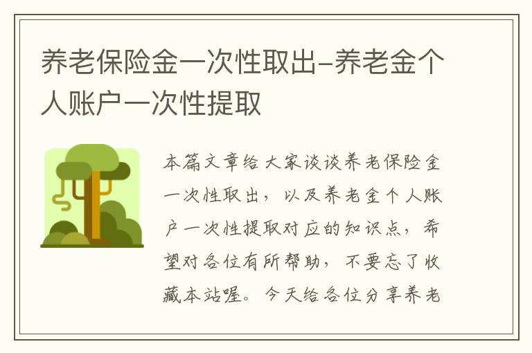 养老保险金一次性取出-养老金个人账户一次性提取